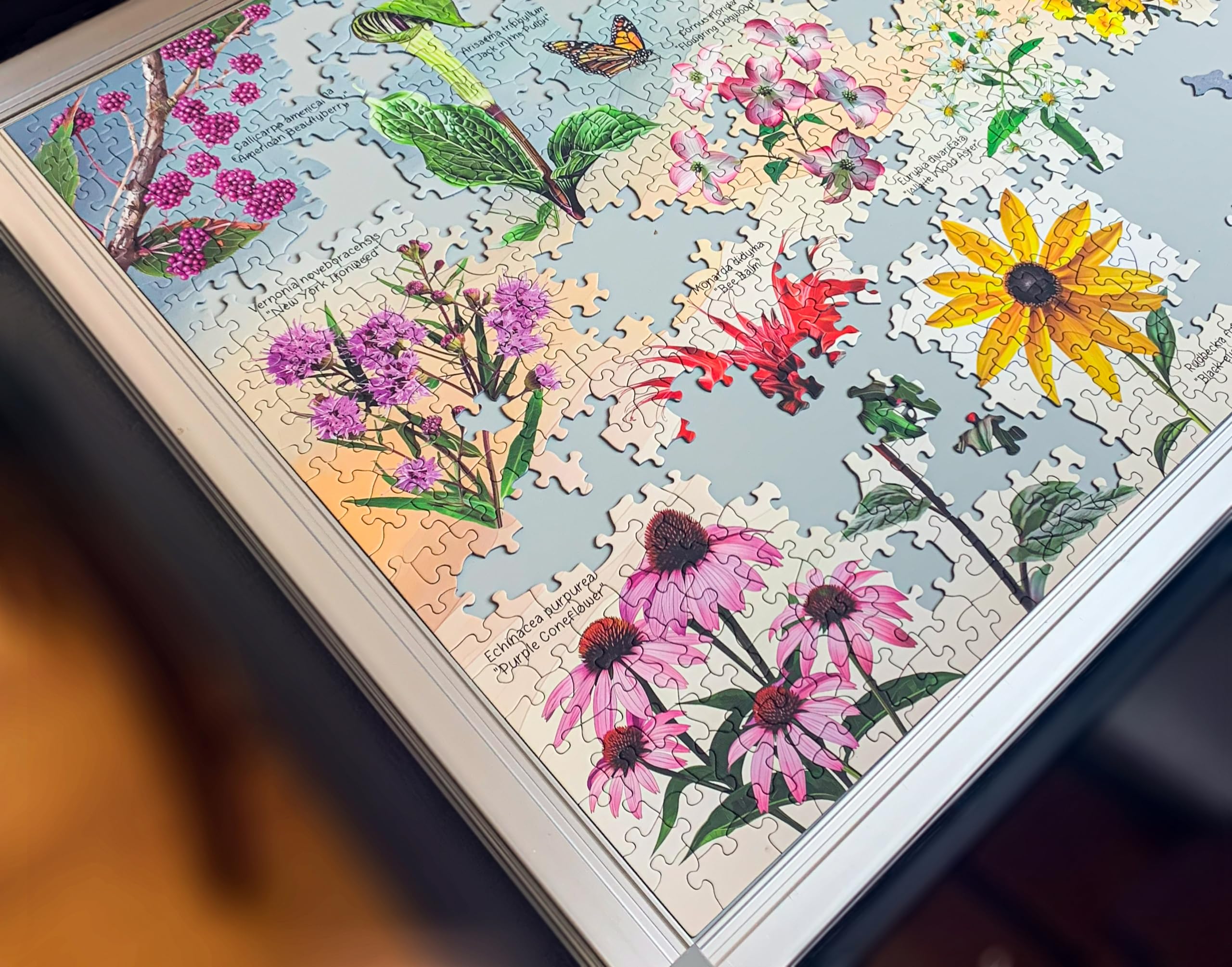 Amazon.com: Highland Creek Puzzles Wildflowers of Virginia Jigsaw